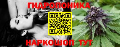 a pvp Коммунар