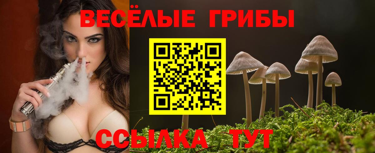 Псилоцибиновые грибы Cubensis  Вход с VPN  Барабинск 