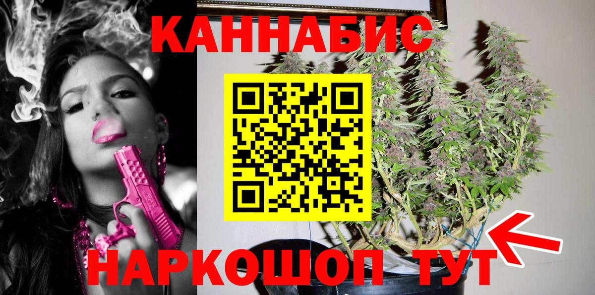 Бошки Шишки планчик Барабинск